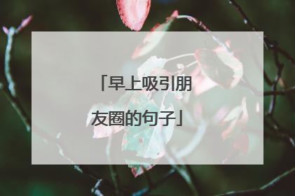早上吸引朋友圈的句子