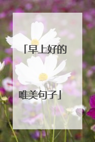 早上好的唯美句子