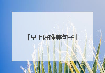 早上好唯美句子