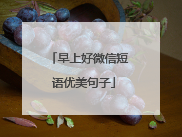 早上好微信短语优美句子