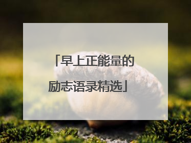 早上正能量的励志语录精选