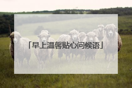 早上温馨贴心问候语