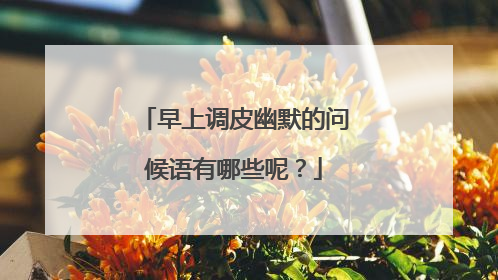 早上调皮幽默的问候语有哪些呢？