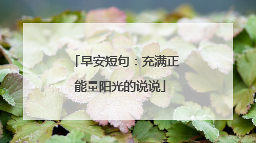 早安短句：充满正能量阳光的说说