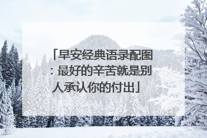 早安经典语录配图:最好的辛苦就是别人承认你的付出