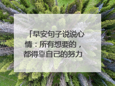早安句子说说心情：所有想要的，都得靠自己的努力才能得到