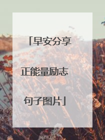 早安分享正能量励志句子图片