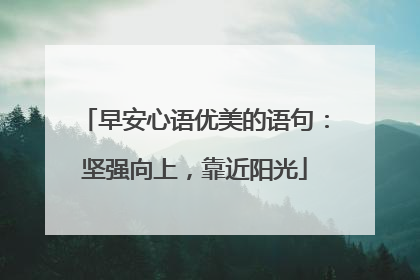早安心语优美的语句:坚强向上,靠近阳光