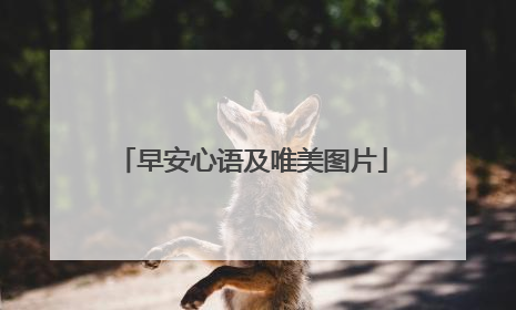 早安心语及唯美图片