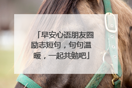 早安心语朋友圈励志短句,句句温暖,一起共勉吧