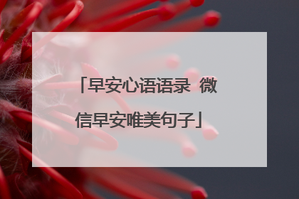 早安心语语录 微信早安唯美句子
