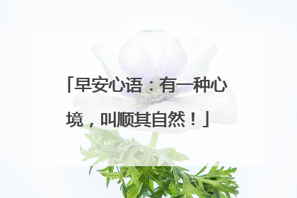 早安心语：有一种心境，叫顺其自然！