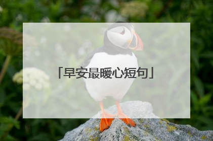 早安最暖心短句