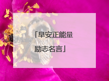 早安正能量励志名言