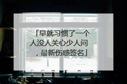 早就习惯了一个人没人关心少人问,最新伤感签名