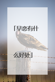 早恋有什么好处