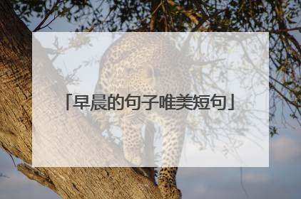 早晨的句子唯美短句