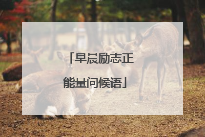 早晨励志正能量问候语