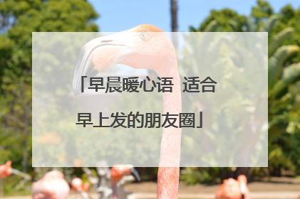 早晨暖心语 适合早上发的朋友圈