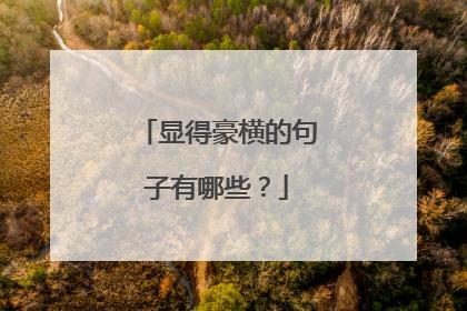 显得豪横的句子有哪些？