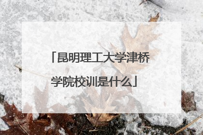 昆明理工大学津桥学院校训是什么