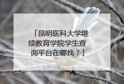 昆明医科大学继续教育学院学生查询平台在哪找？
