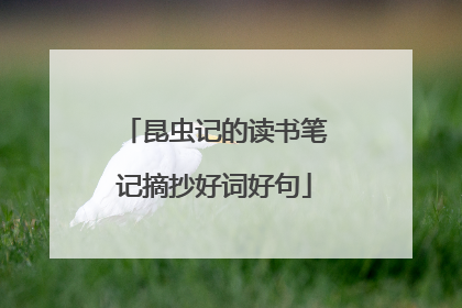 昆虫记的读书笔记摘抄好词好句