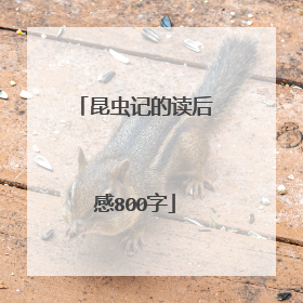 昆虫记的读后感800字