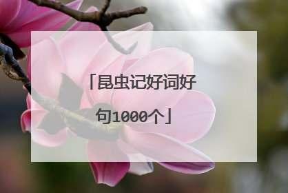 昆虫记好词好句1000个