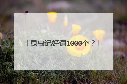 昆虫记好词1000个？