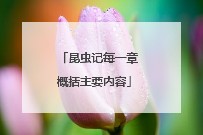 昆虫记每一章概括主要内容