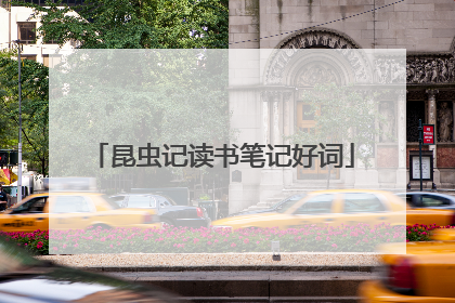 昆虫记读书笔记好词