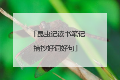 昆虫记读书笔记摘抄好词好句