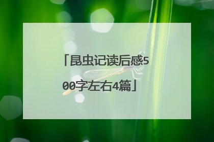 昆虫记读后感500字左右4篇