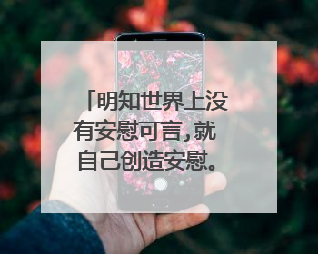 明知世界上没有安慰可言,就自己创造安慰。明知生活没有什么意义,就自己创造生