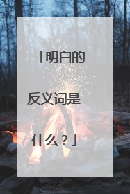 明白的反义词是什么？