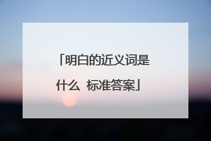 明白的近义词是什么 标准答案