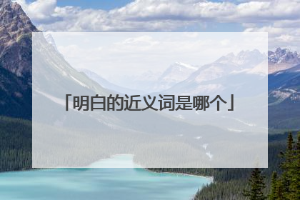 明白的近义词是哪个