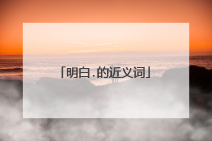 明白.的近义词