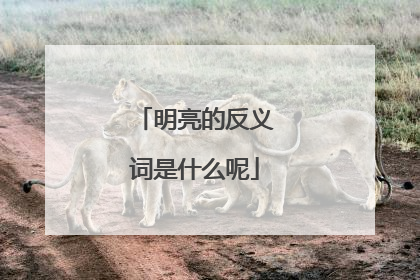 明亮的反义词是什么呢