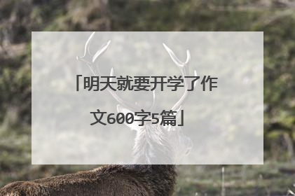 明天就要开学了作文600字5篇