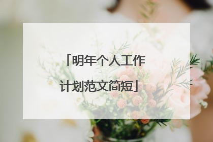 明年个人工作计划范文简短