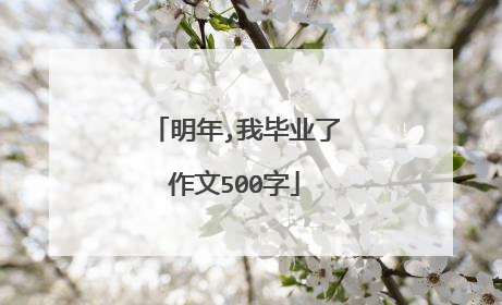 明年,我毕业了作文500字