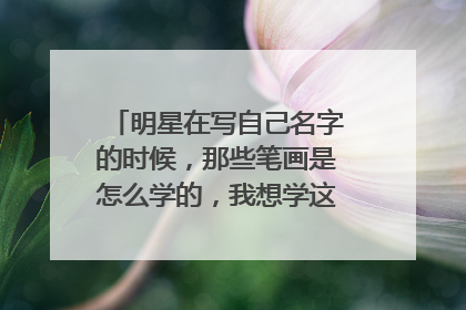明星在写自己名字的时候，那些笔画是怎么学的，我想学这种笔画，知道的麻烦说一下谢谢各位。