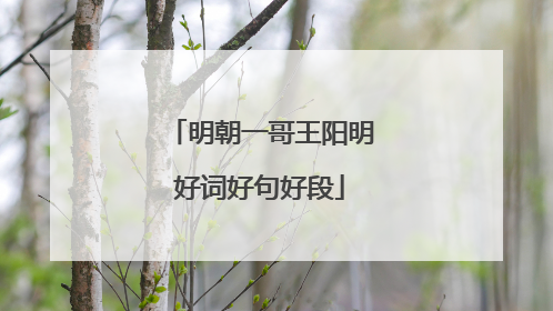明朝一哥王阳明好词好句好段