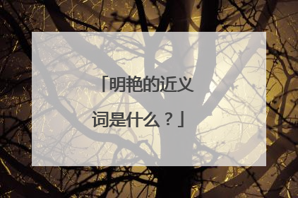 明艳的近义词是什么?