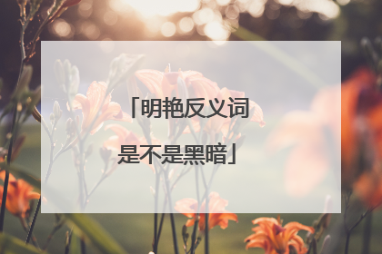 明艳反义词是不是黑暗