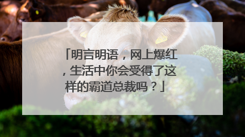 明言明语，网上爆红，生活中你会受得了这样的霸道总裁吗？