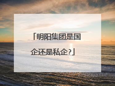明阳集团是国企还是私企?