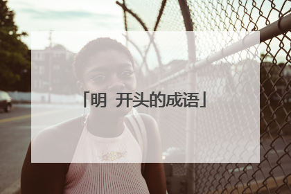 明 开头的成语